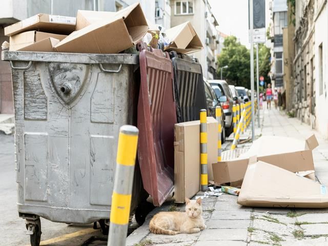 images/commercial-waste/slider/commercial-waste-removal (12)-kireth-ai.jpeg